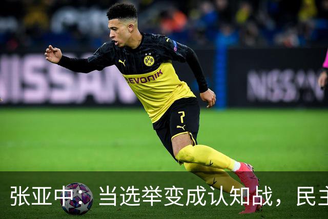 张亚中：当选举变成认知战，民主还有意义吗